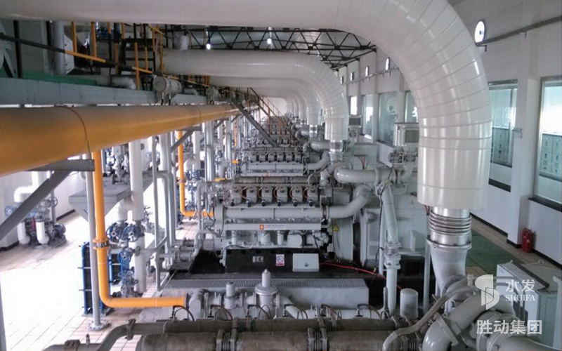 勝動(dòng)集團(tuán)